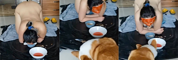 瓜友们这才是真正的母狗啊 和狗同吃同住还让狗操骚逼 洗脑也达不到的高度啊