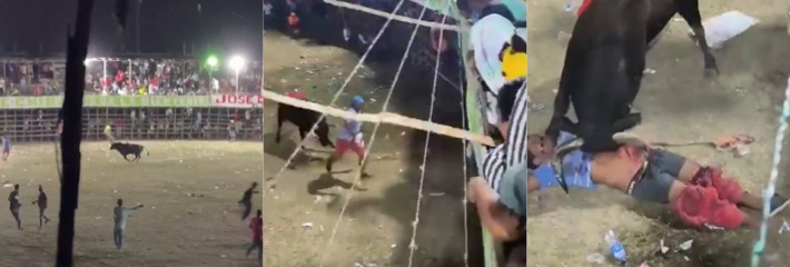 哥伦比亚民间斗牛惨剧曝光 暴怒公牛顶开男子腹腔 致死现场血腥慎入！