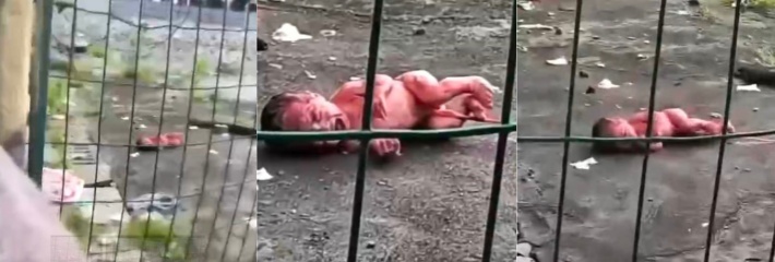 弃婴悲剧震惊江宁高职！新生儿赤裸躺铁丝网后，母女宿舍接生内幕曝光？