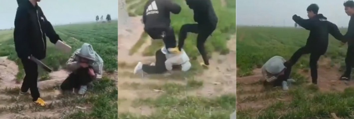 邯郸临漳县第二中学再发生学生霸凌事件 还是三个人打一个人 板砖砸后脑勺 招招往死里打！