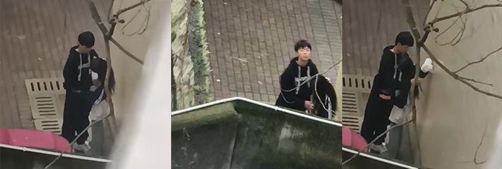 网传四川某大学 一对情侣在女生宿舍楼后多次偷情被偷拍！
