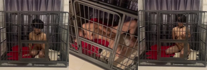 把母狗锁狗笼里让母狗禁欲一周 骚货没大鸡吧自己在狗笼里自慰!