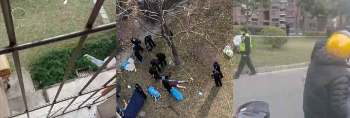 1月14日 上海市闵行区一居民区跳楼事件 因子孩期末没考一百分 全家集体跳楼