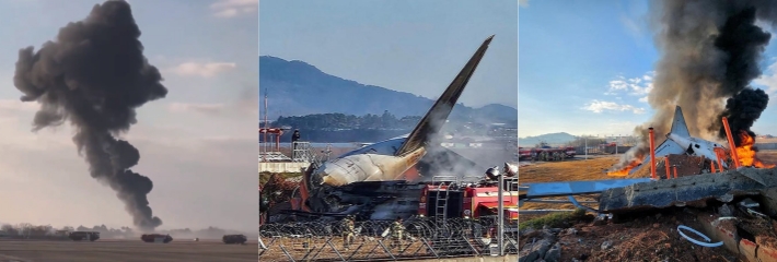 韩国一客机降落时遭遇鸟击卡在机翼发生爆炸 现场视频流出目前已死亡58人！