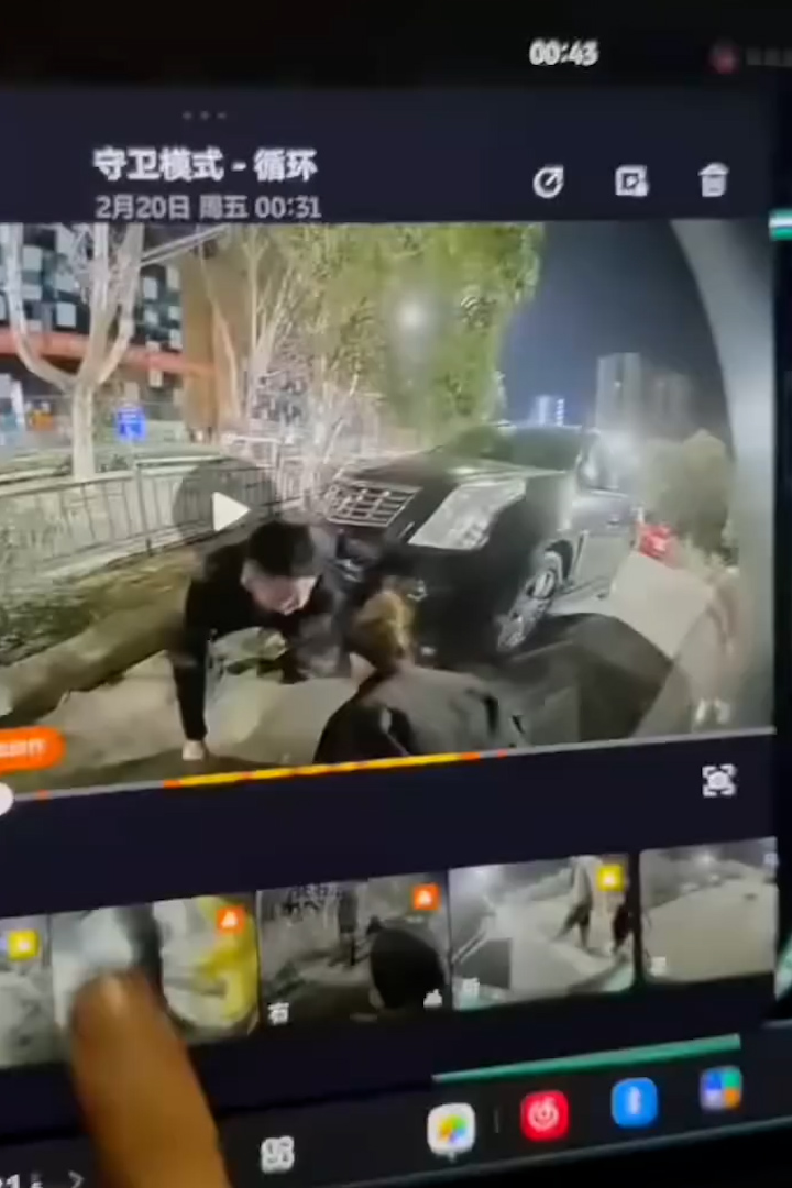 情侣恩爱程度超夸张 女朋友随地大小便时 男朋友还要凑过去亲两口 开启哨兵模式守护