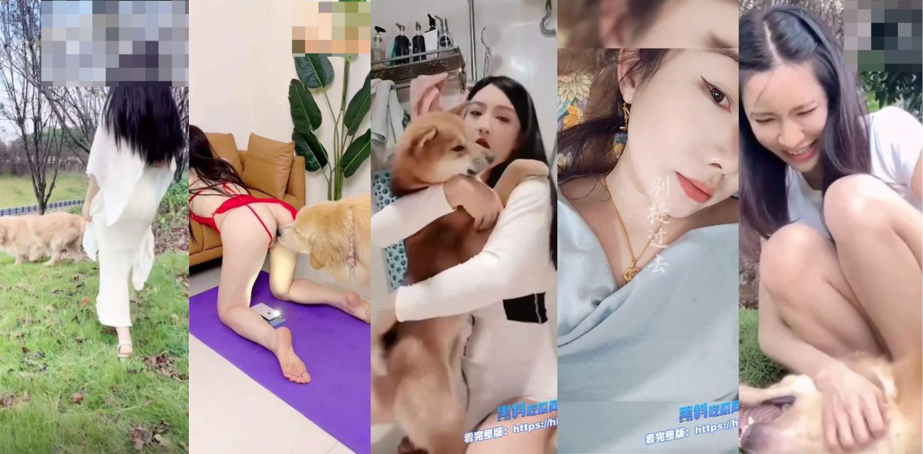 吃瓜人兽