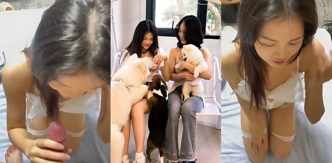 瓜友投稿 江苏无锡女大学生，被自己亲自一步一步调教成专属母狗，各种换装口爆吞精视频曝光！下一步培养她肛交，只想说老哥牛逼！