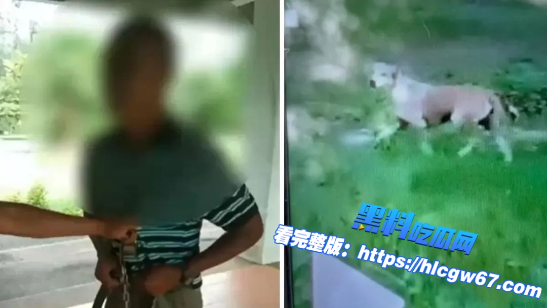 泰国新闻：退休在即晚节不保！宋卡府59岁公务员光天化日公园 #性侵母狗，志愿者：他已多次作案