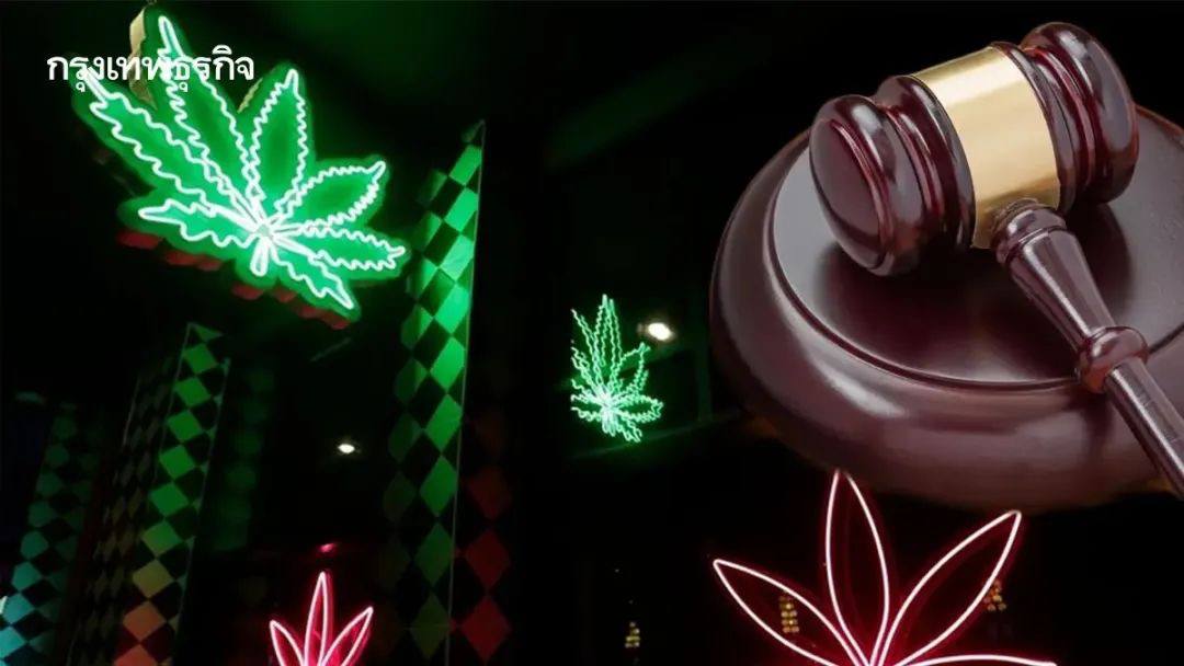 泰国新闻：泰国已有超1000家大麻店被勒令关闭！泰警缴获近吨大麻…