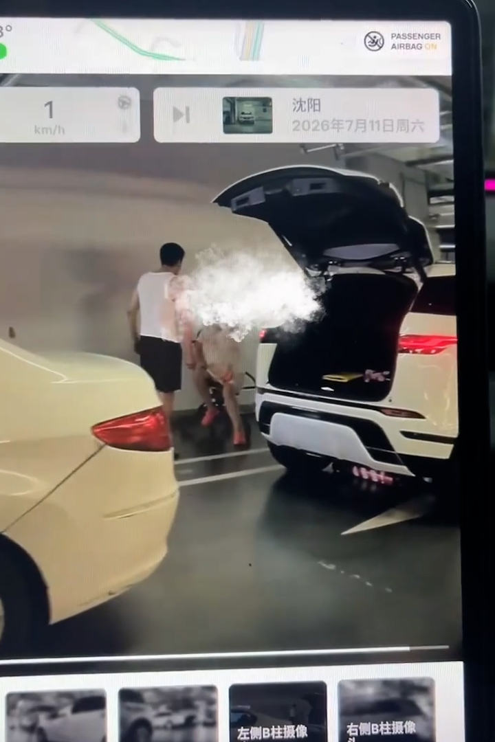 沈阳孕晚期孕妇遭丈夫当街暴力对待 挺大肚被殴打画面令人揪心 恶劣家暴行径引发众怒