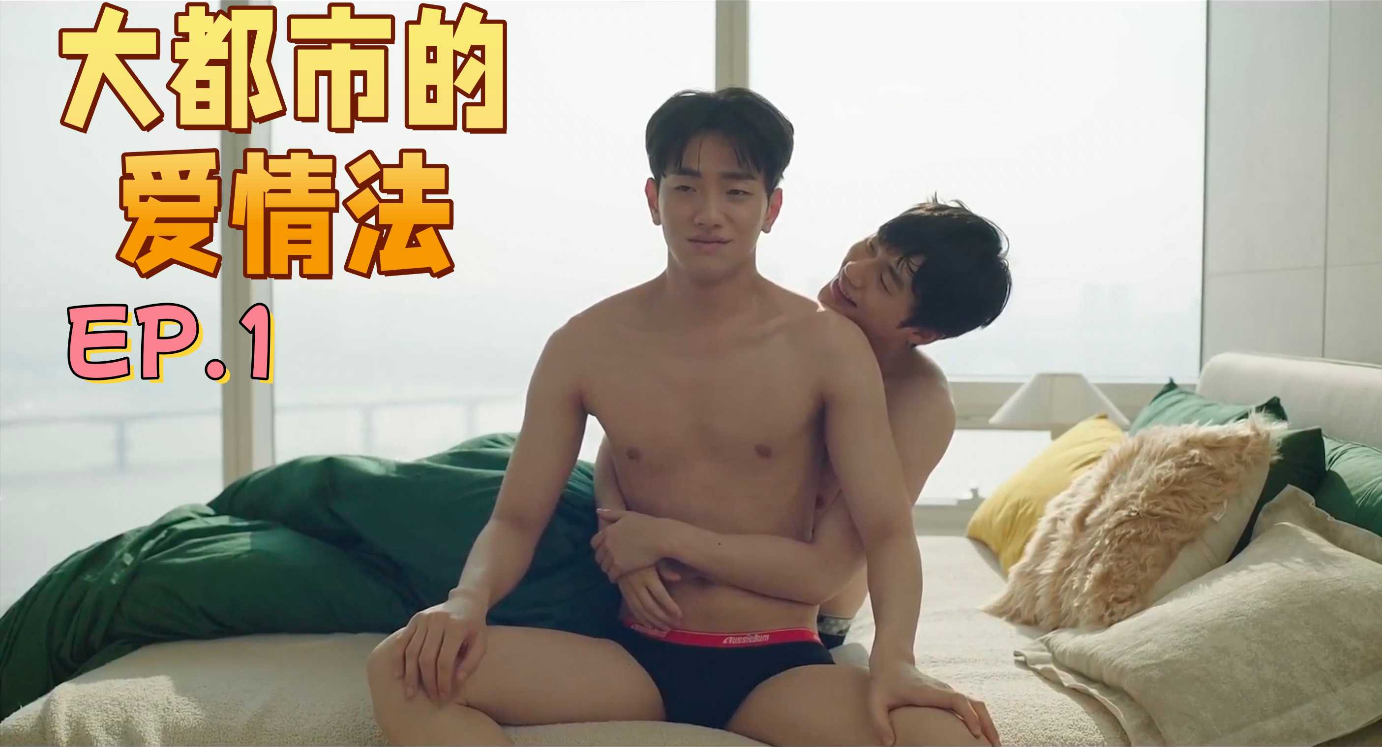 极品腐剧系列：大都市的爱情法 EP，1