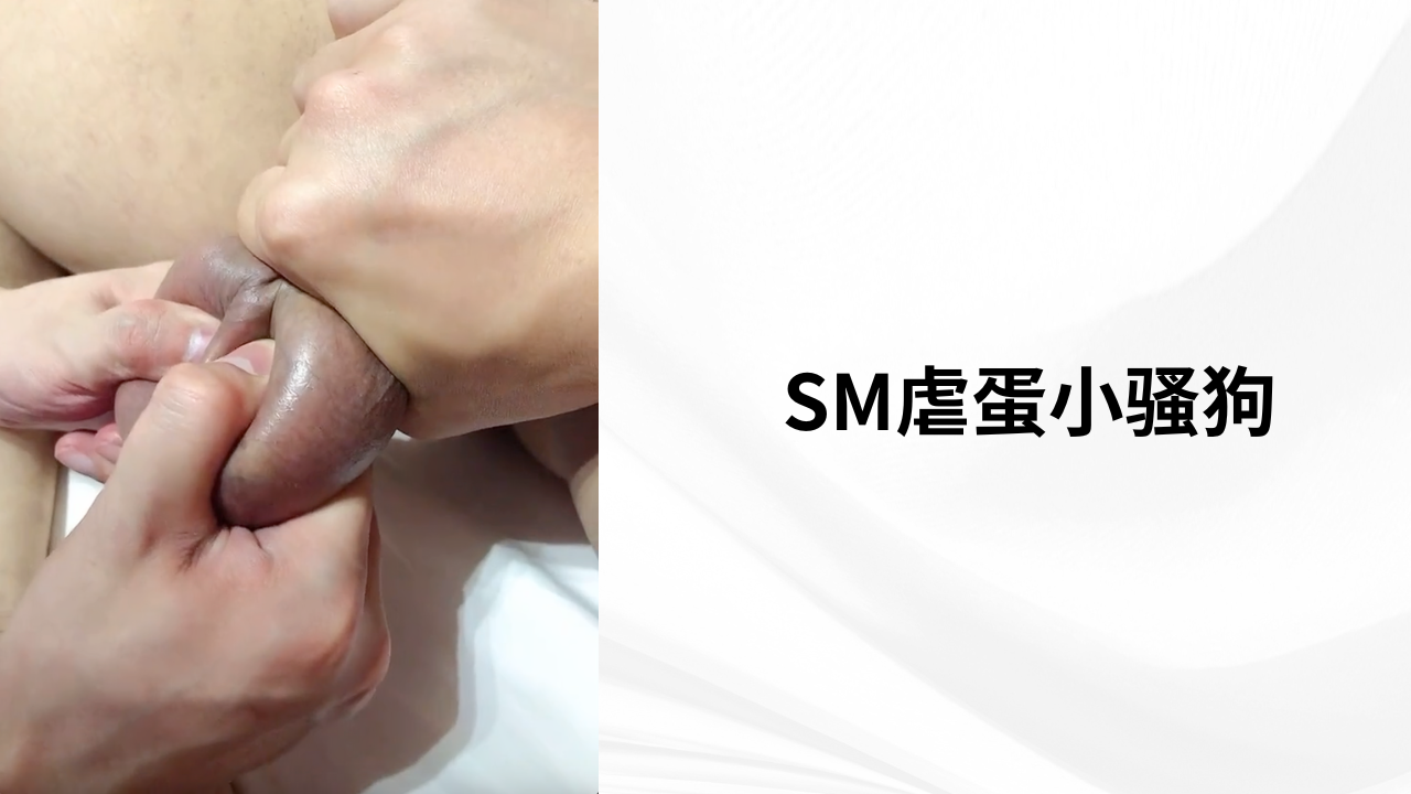 SM虐蛋小骚狗
