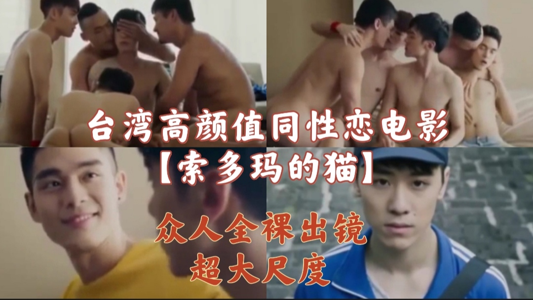 高颜值帅哥同性恋电影索多玛的猫