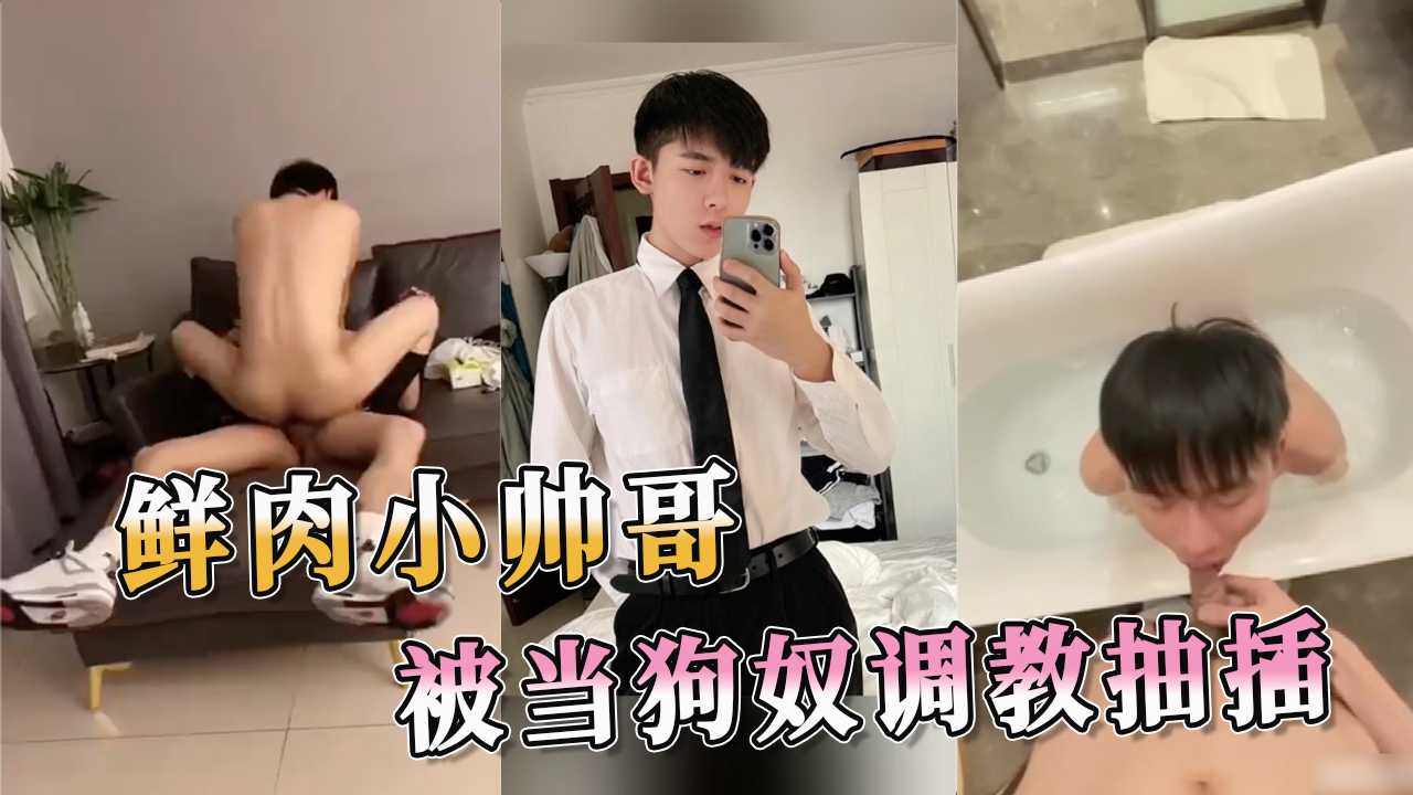 鲜肉小帅哥 被当狗奴调教抽插