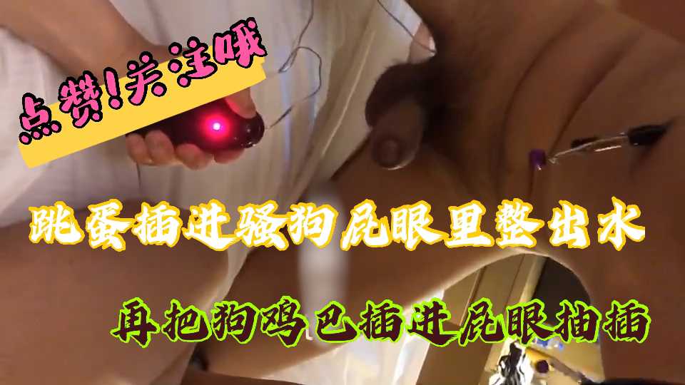 用跳蛋挑逗完我的菊花 再用真屌爆菊