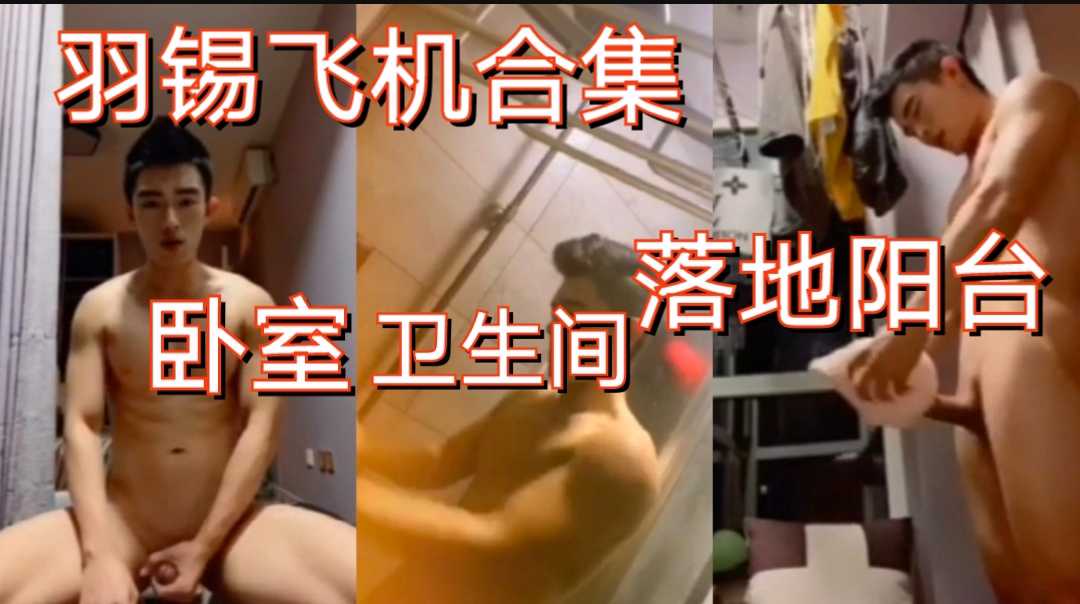 羽锡多场景飞机合集，卧室阳台厨房卫生间等