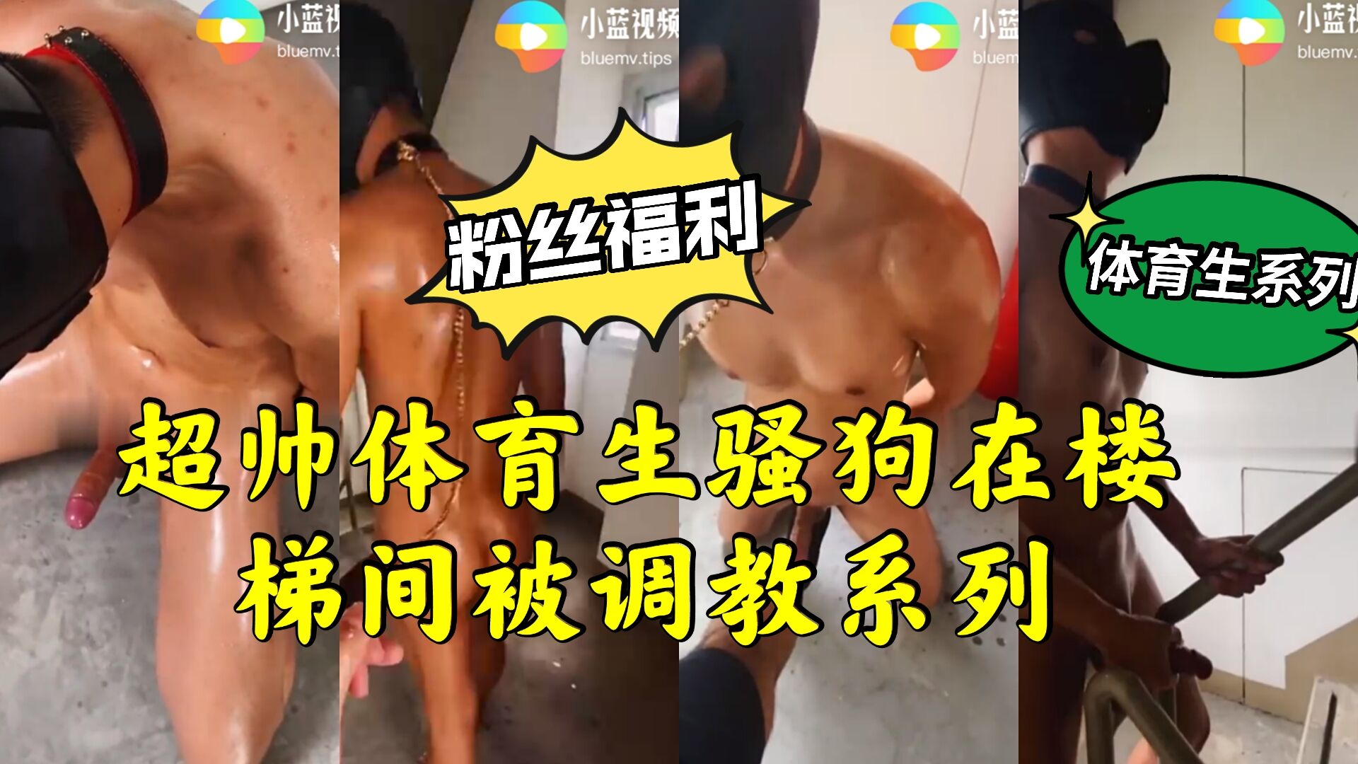 超帅体育生骚狗在楼梯间 被调教玩弄