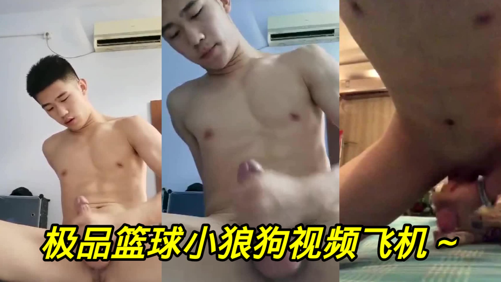 免费福利 极品篮球小狼狗视频飞机