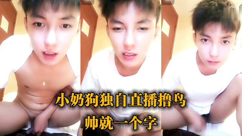帅就一个字，小奶狗独自直播撸管