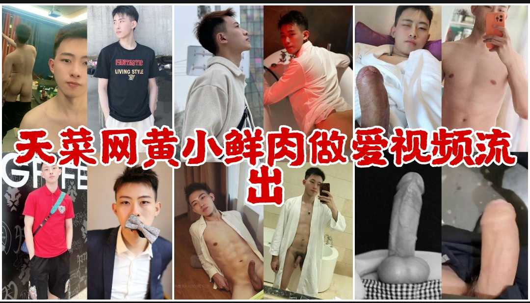 天菜网黄小鲜肉 做爱视频合集流出