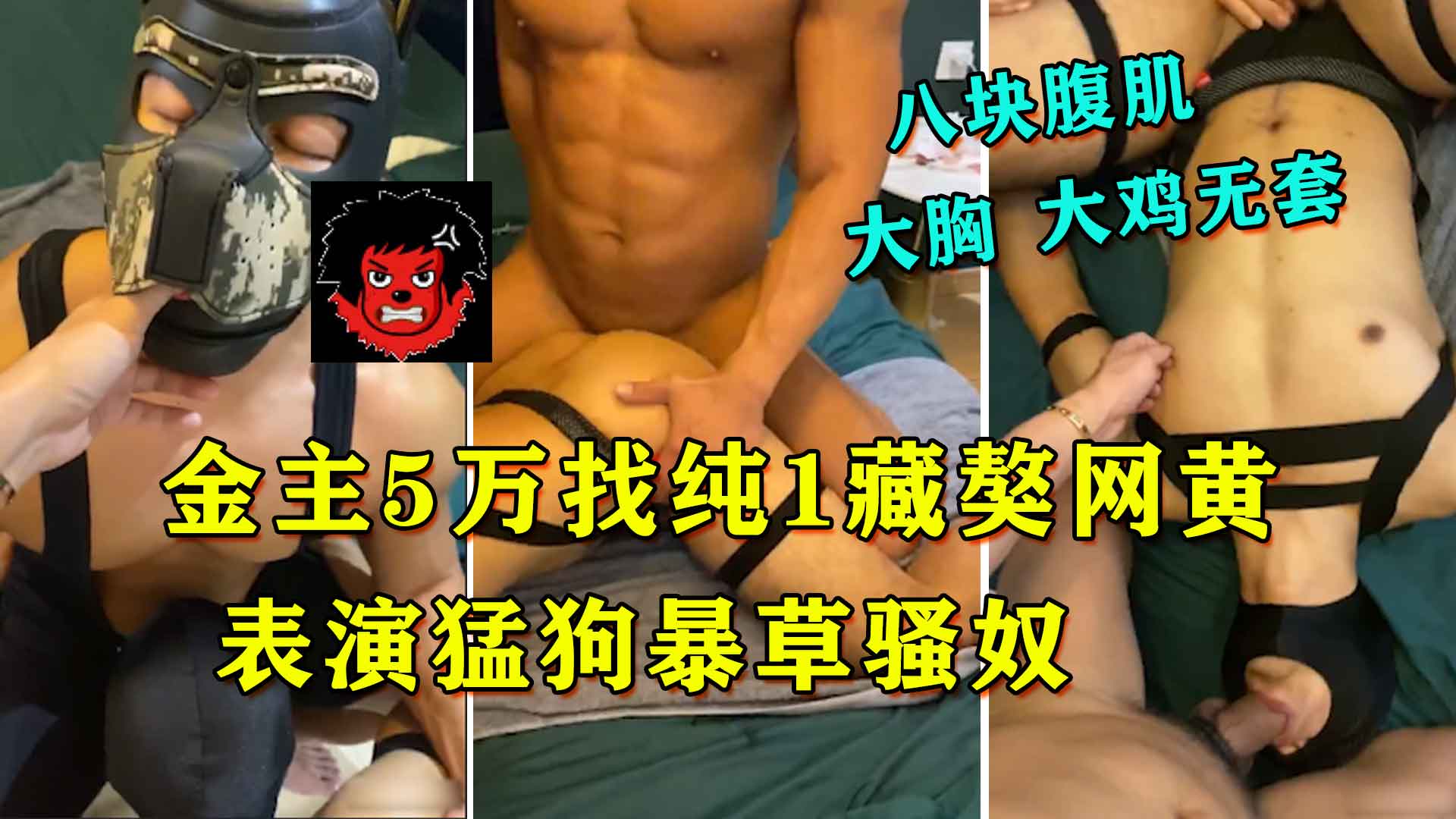 金主五万找纯一藏獒网黄表演猛狗爆操骚奴，场面相当凶悍！