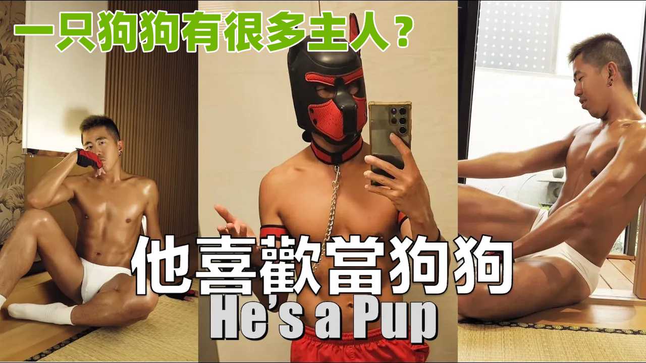 他喜欢当狗狗？一只狗狗有很多主人？