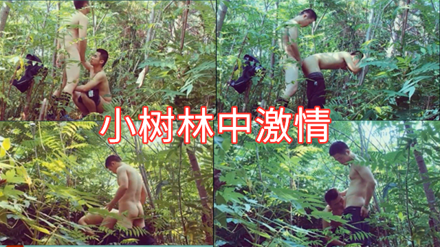 小树林中约会，直接就地干起来了