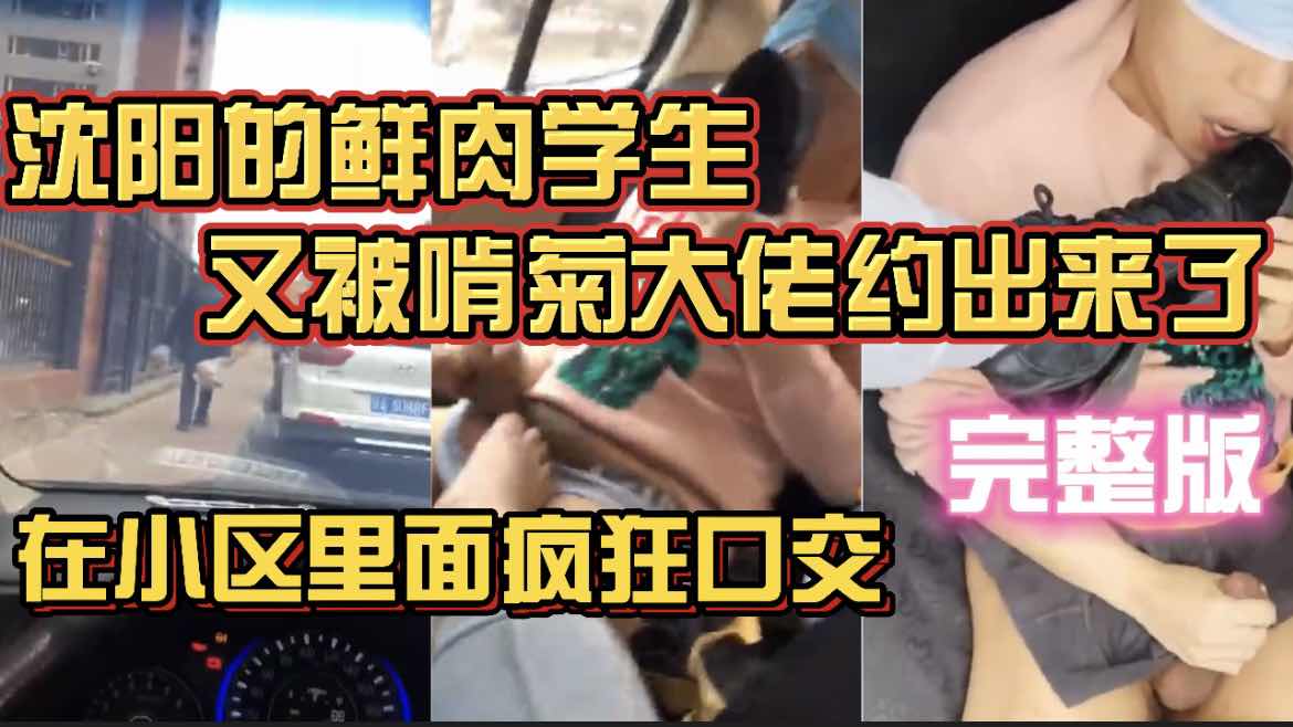 沈阳的鲜肉学生又被啃菊大佬约出来了 在小区里疯狂口交 完整版
