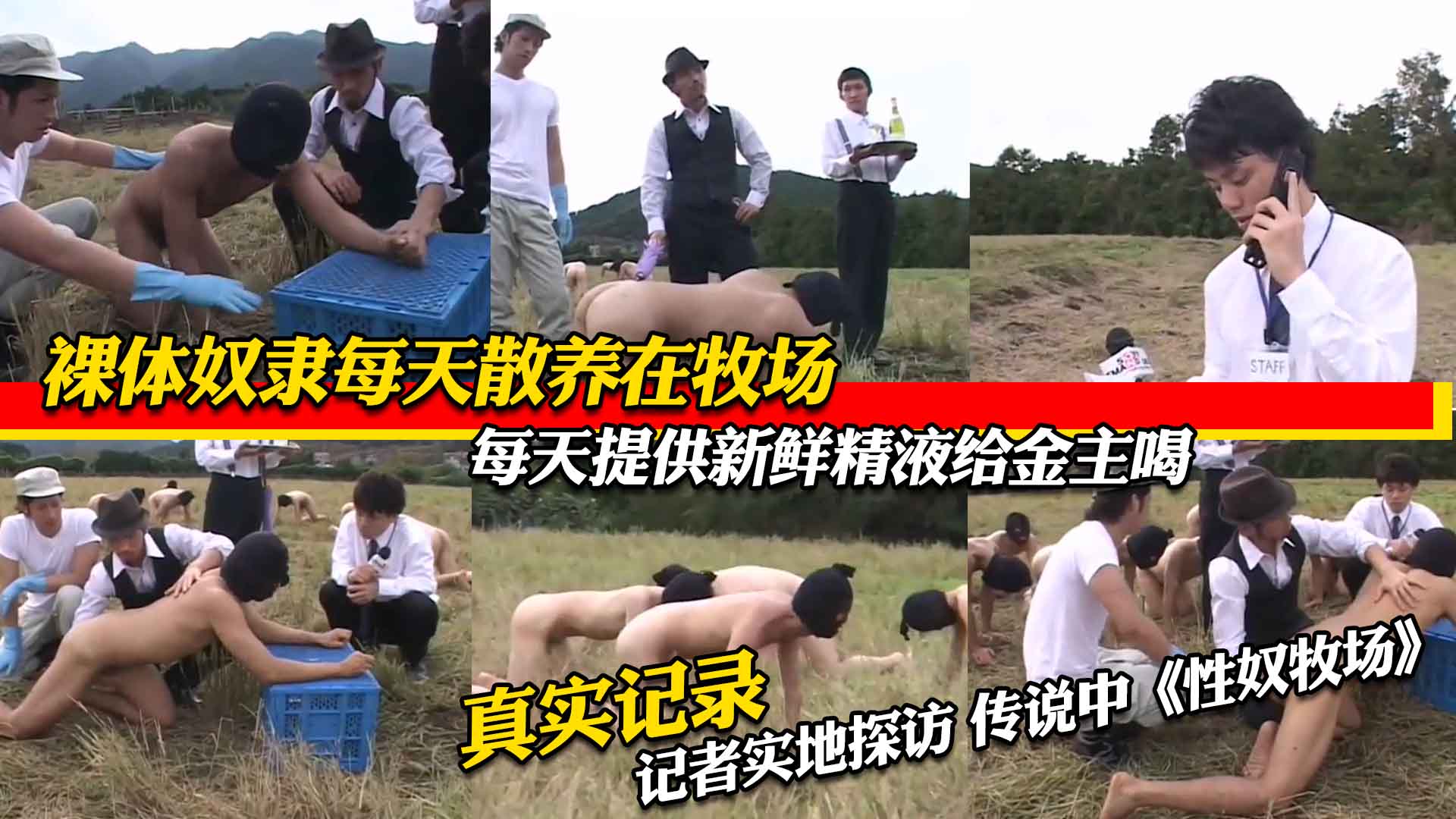 裸体奴隶每天散养在农场，射出新鲜的精液给金主喝