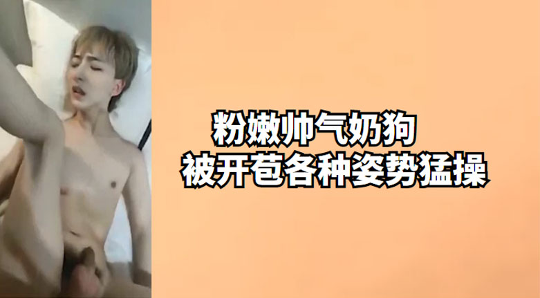 粉嫩帅气奶狗被开苞各种姿势猛操