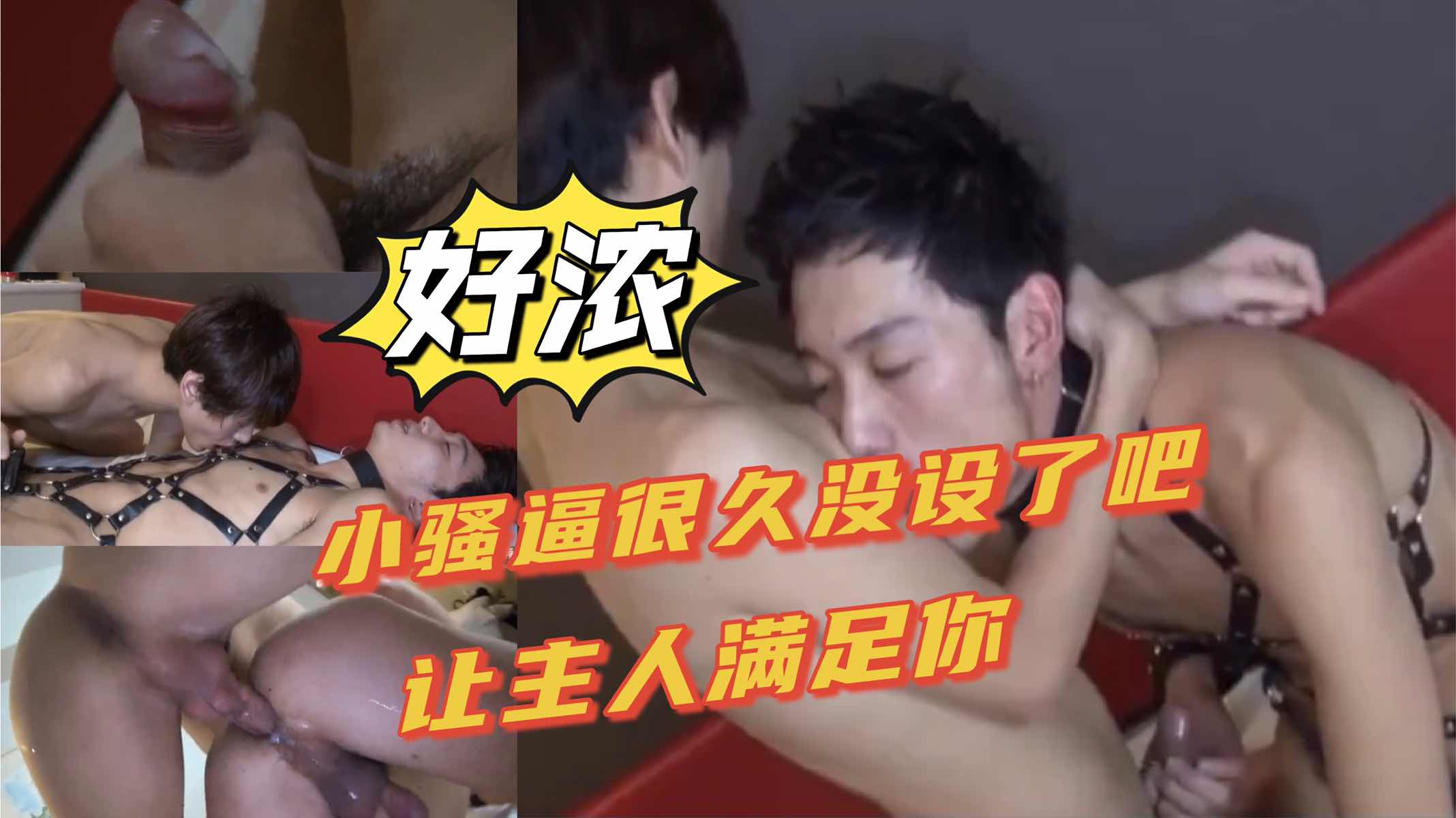 好浓 小骚逼很久没射了吧 让主人满足你