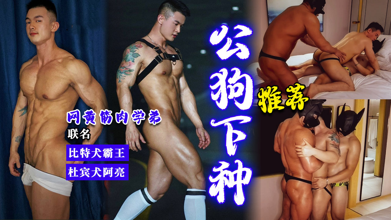 网黄筋肉学弟联名比特犬霸王 公狗下种