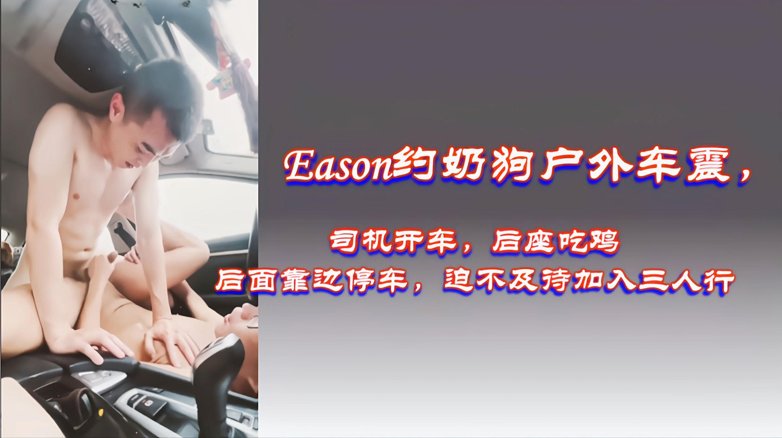 Eason约奶狗户外车震司机开车后座吃鸡
