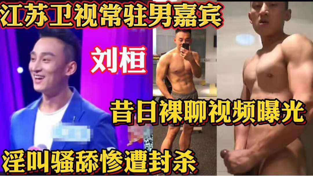 江苏卫视常驻男嘉宾 刘恒 昔日裸聊视频曝光 淫叫骚舔惨遭封杀
