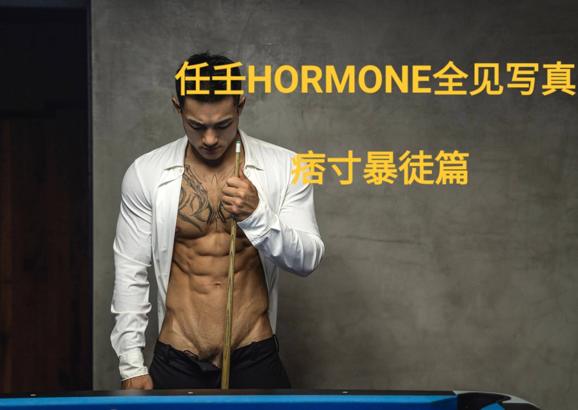 任壬HORMONE全见写真 痞寸暴徒篇