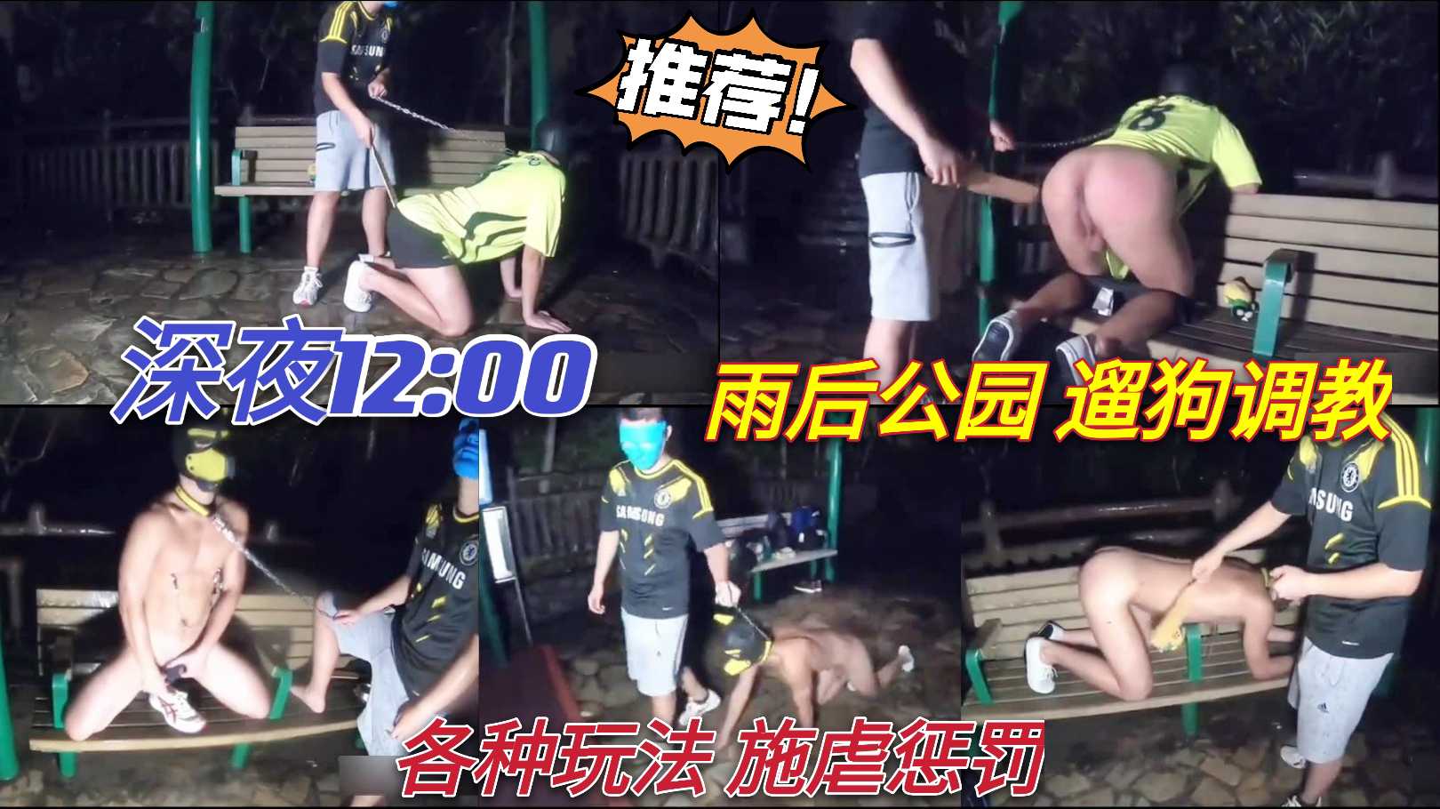 雨后公园遛狗调教,各种玩法施虐惩罚