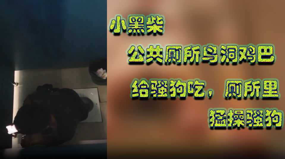 网黄小黑柴,在公共厕所给骚狗吃大屌