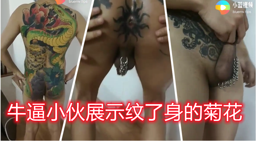 牛逼小伙展示纹身屁眼和打环鸡巴 真的佩服纹身师 能给屁眼子纹身