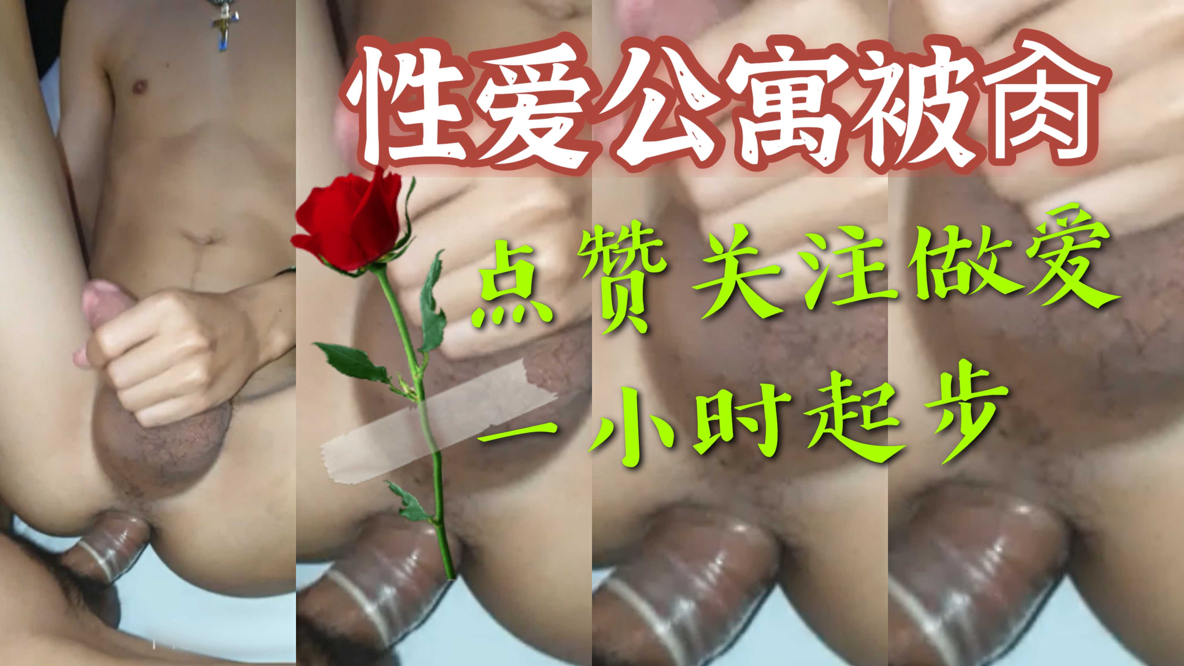 快来加入我们的性爱公寓吧,这里有你想要的一切