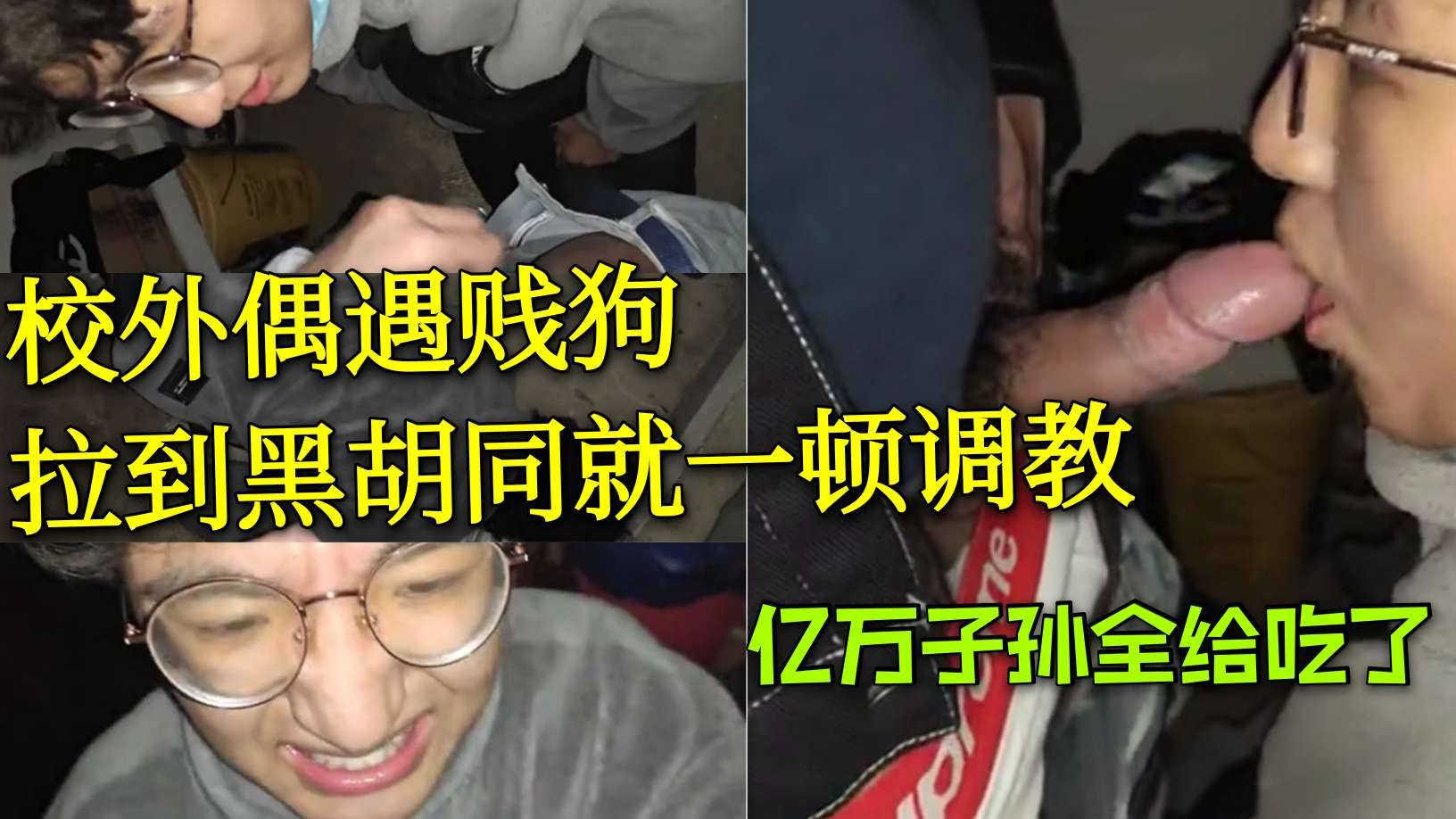 校外偶遇贱狗拉到黑胡同就一顿调教 亿万子孙全给吃了