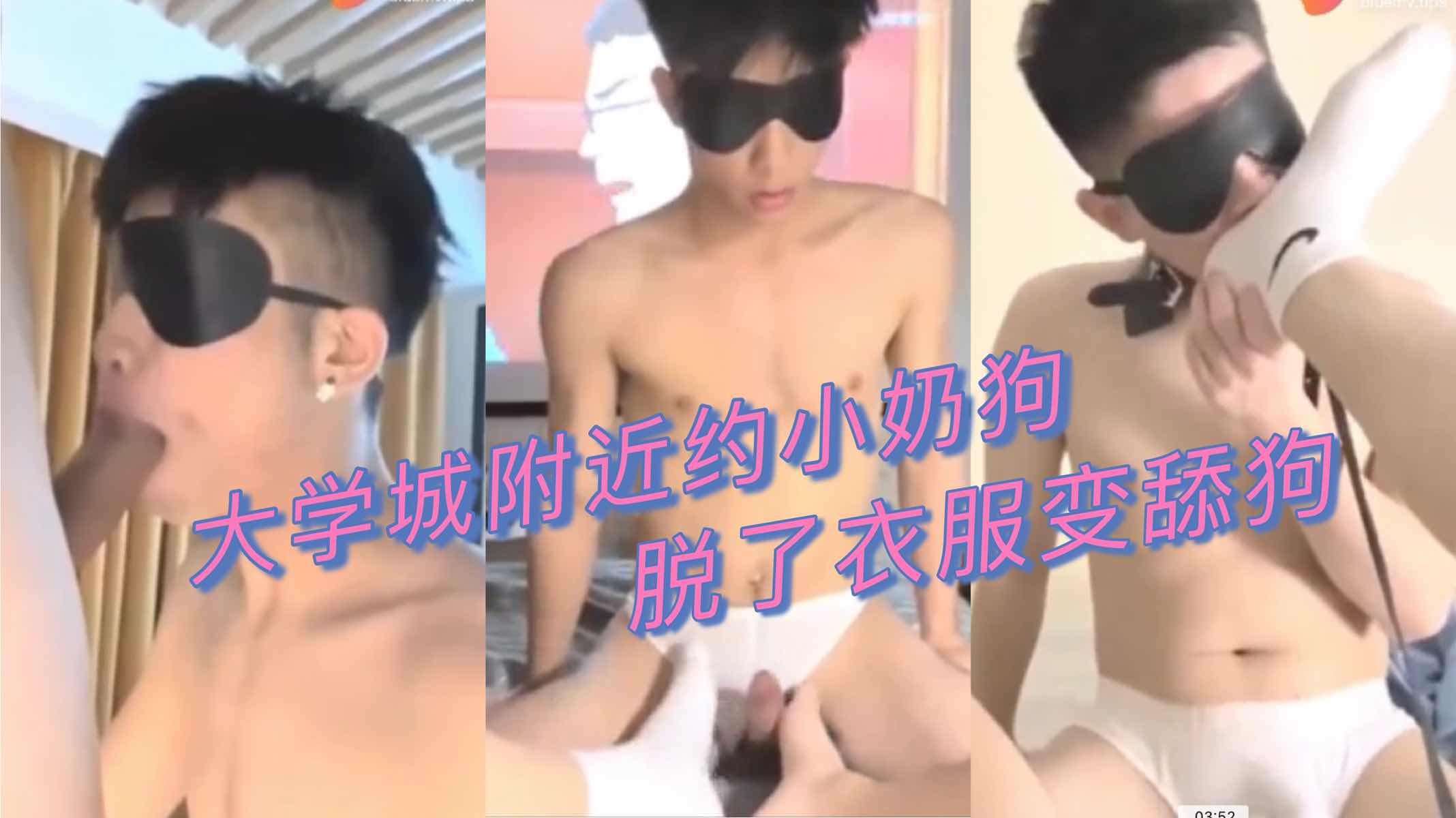 大学城附近约小奶狗 脱了衣服变舔狗 含住鸡吧就不撒口
