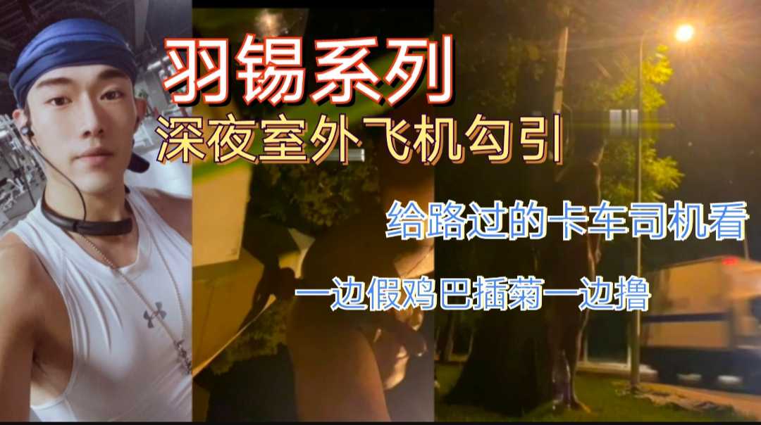 羽锡一边假鸡巴插菊一边撸，深夜勾引路过卡车司机！