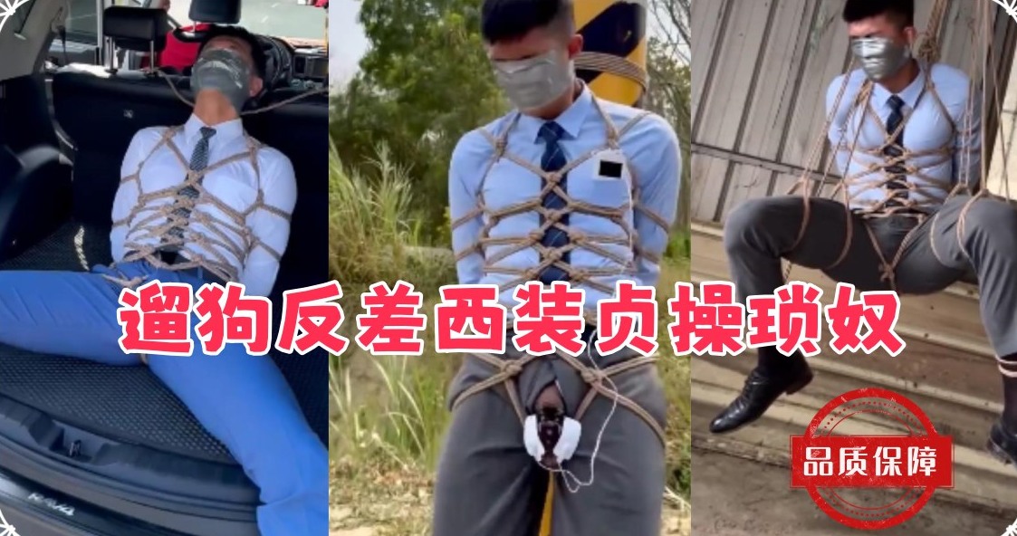 调教sm系列：遛狗反差西装贞操琐奴