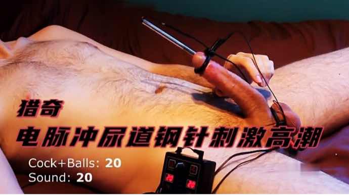 电脉冲尿道钢针刺激高潮