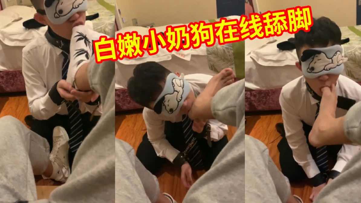 调教小奶狗吃jiojio 我也想拥有这样的狗