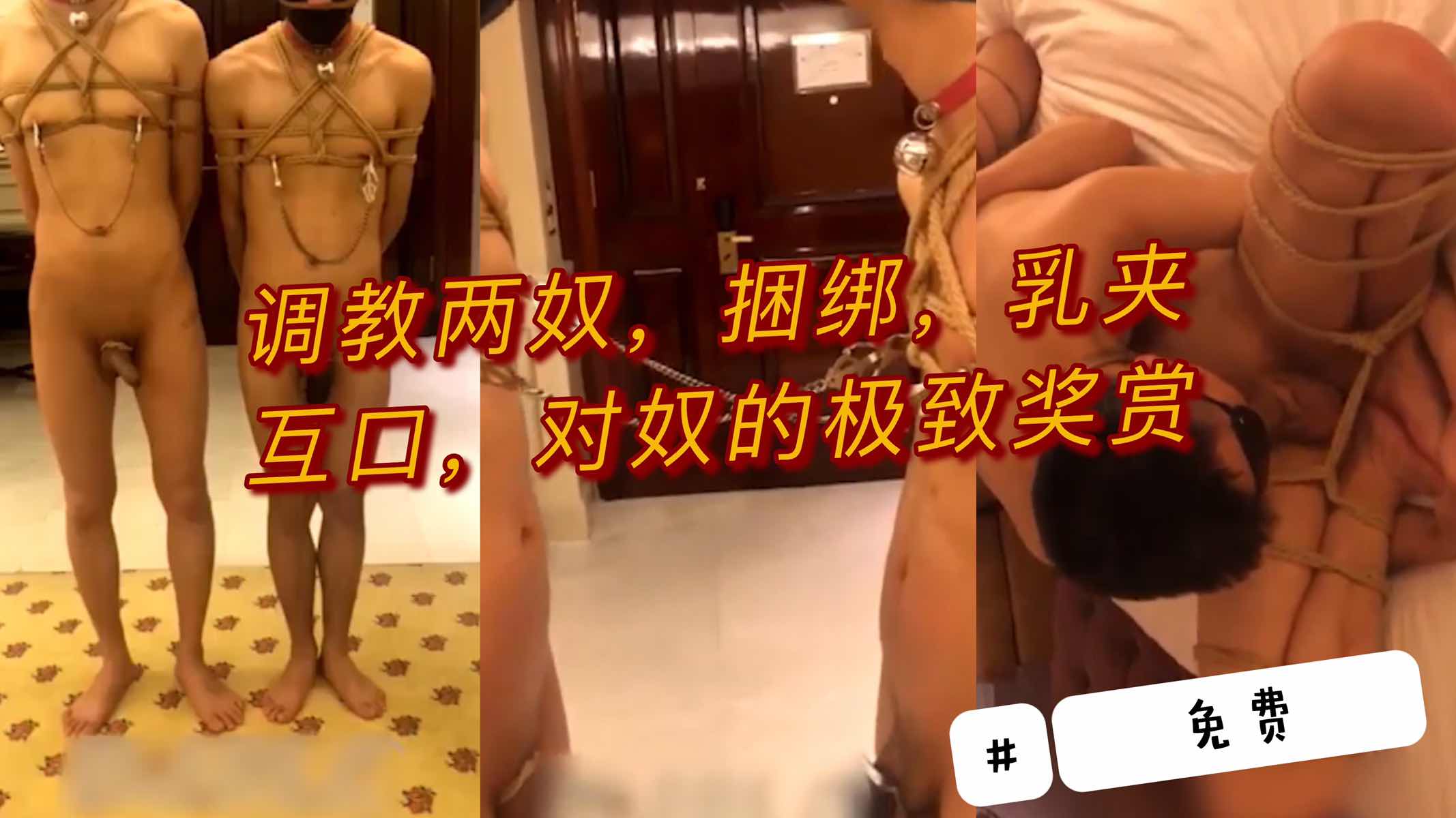 调教两奴 捆绑乳夹 看他们户口 给奴极致的奖赏