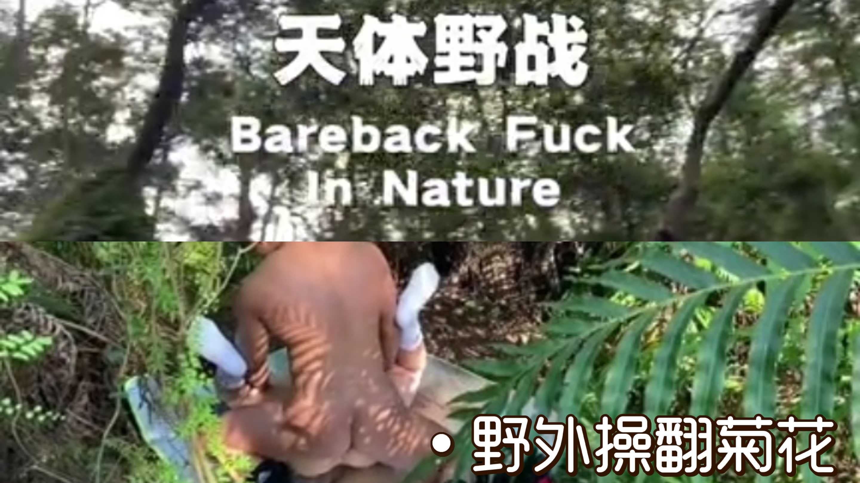 寸头痞子野外操健身男 姿势优美 攻操起来 行云流水 值得一看