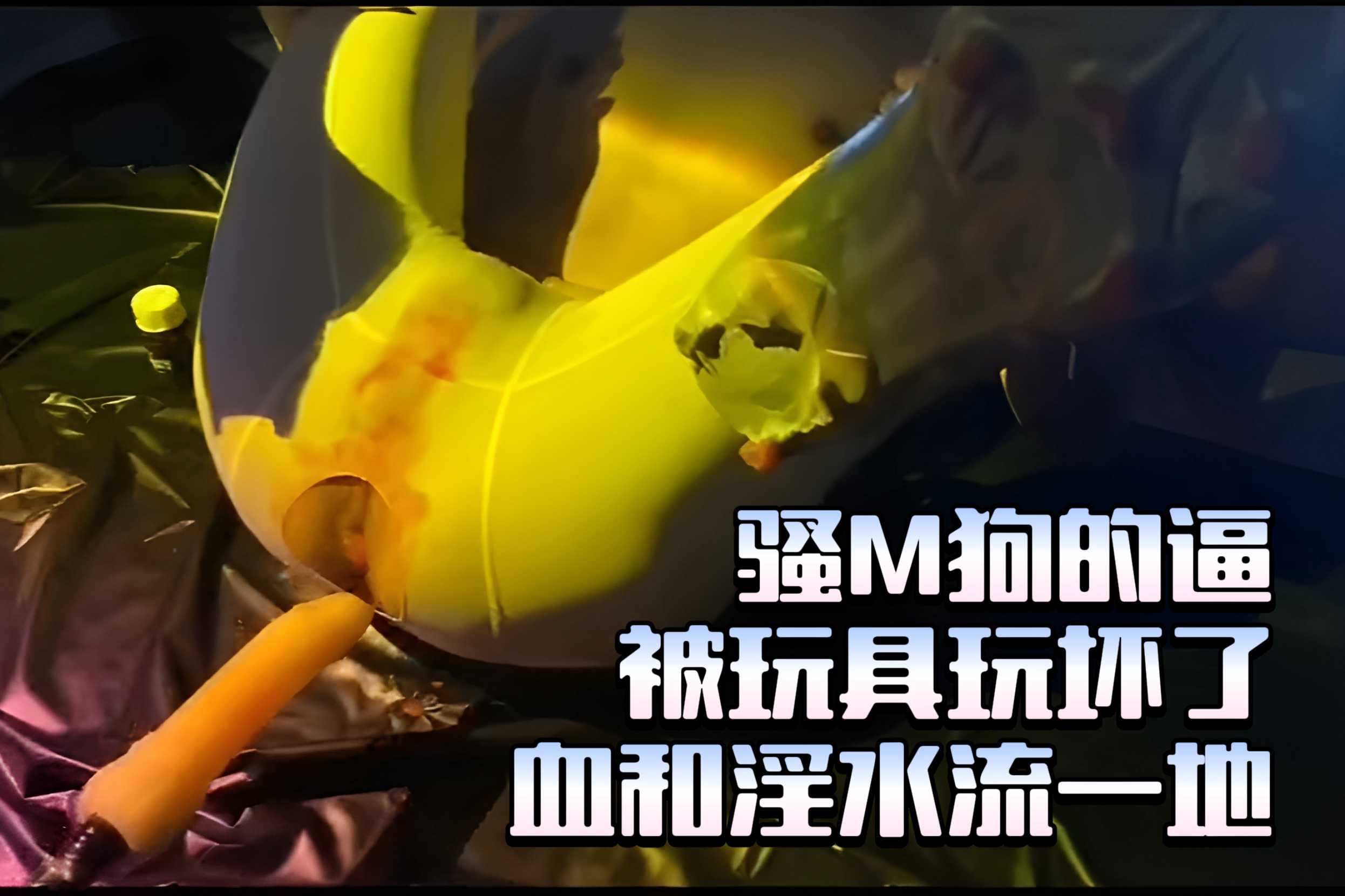 骚M狗逼被玩具玩坏了，血和淫水流一地