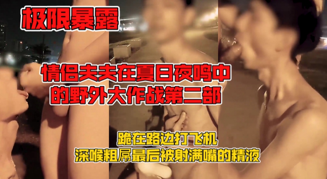 极限暴露 情侣夫夫在夏日夜鸣中的野外大作战