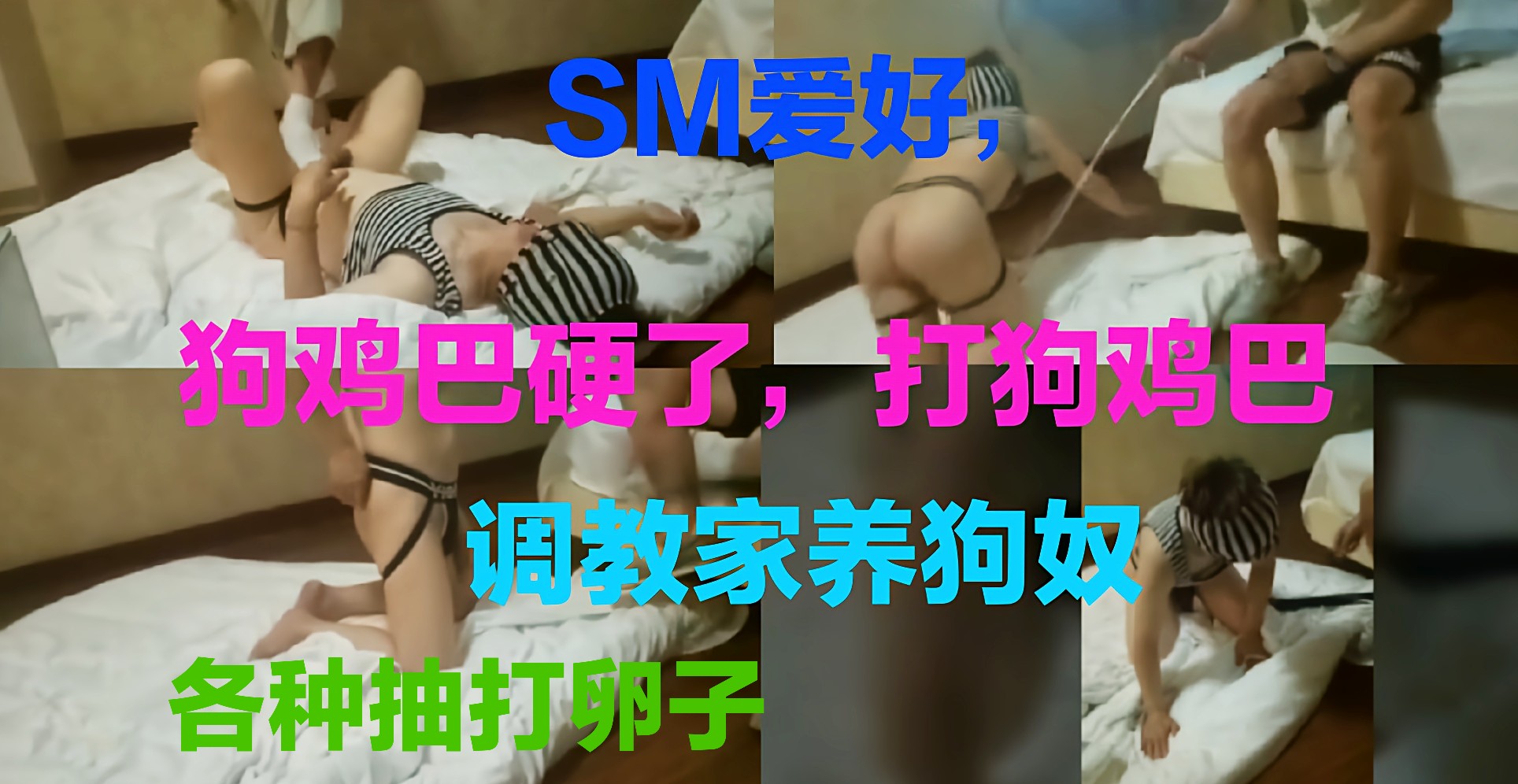 牵着狗奴,各种打卵子,SM爱好者观看